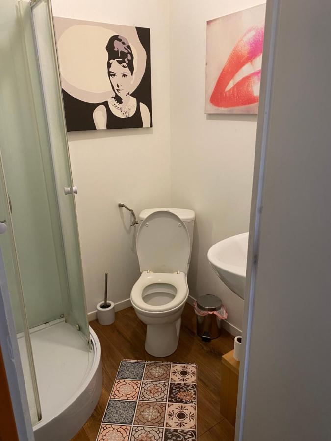Petit Studio Fonctionnel Independant Saint-Brieuc Zewnętrze zdjęcie